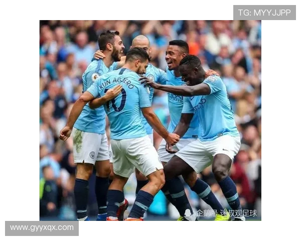 百年南安普顿足球俱乐部的传承精神与英超崛起之路历史挑战与未来蓝图