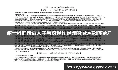 谢什科的传奇人生与对现代足球的深远影响探讨